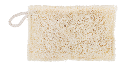 Natural Dish Sponge  Compostable Loofah - The Refill Shoppe